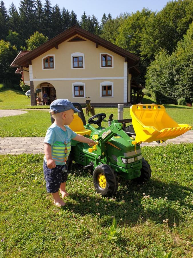 Ferienparadies Truppe Velden am Wörthersee Zewnętrze zdjęcie
